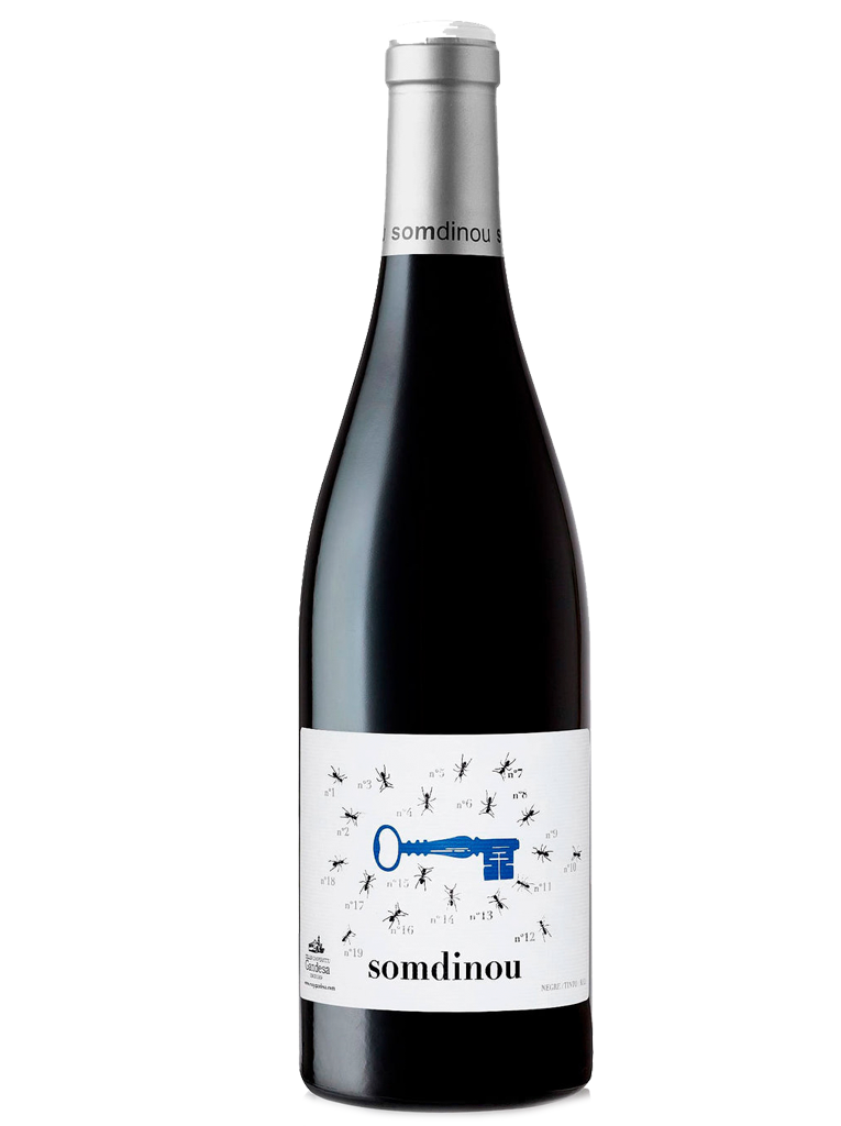 Somdinou Tinto joven