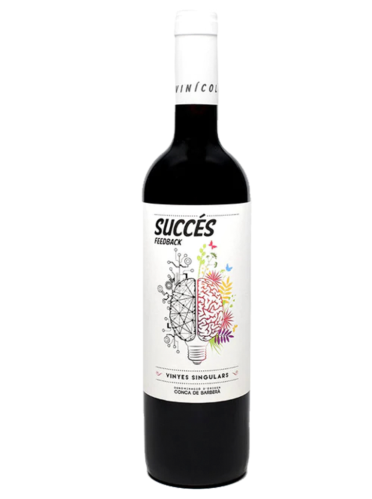 Succes Feedback Tinto