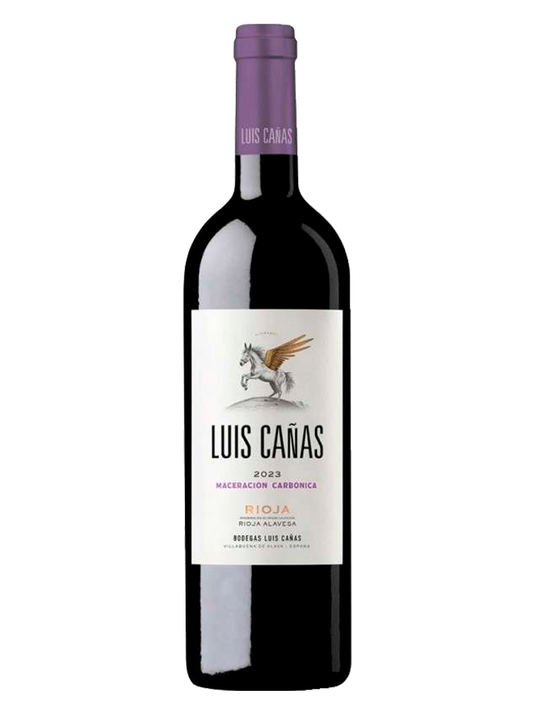 Luis Cañas Joven